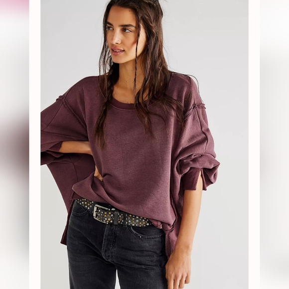 NWT CAMDEN FREE PEOPLE Brandywine OVERSIZED PULLOVER Sweatshirt We the Free - Picture 3 of 12